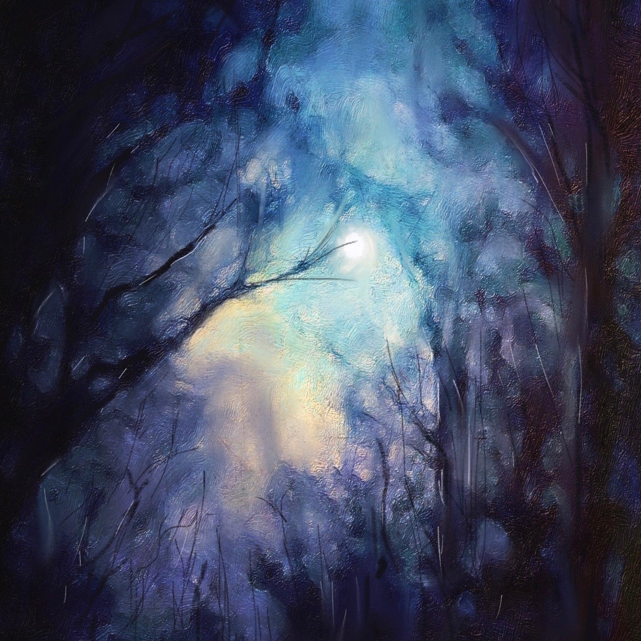 Scottish Paintings - ' A Moonlit Highland Wood '