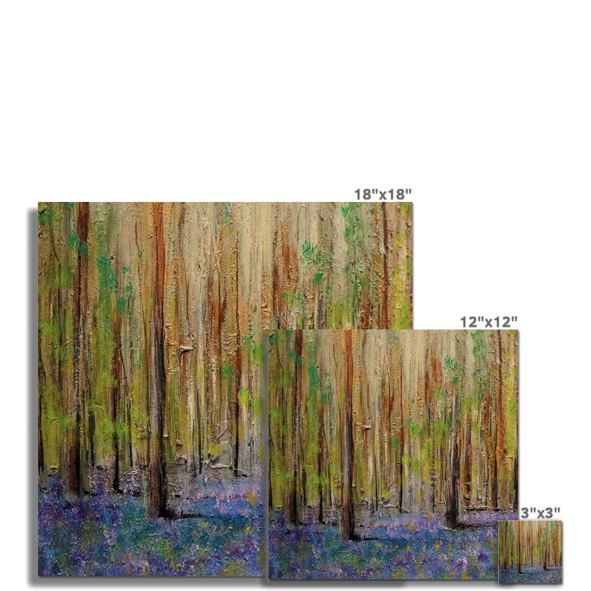 Highland Bluebells C-Type Print | Scottish Art Gifts