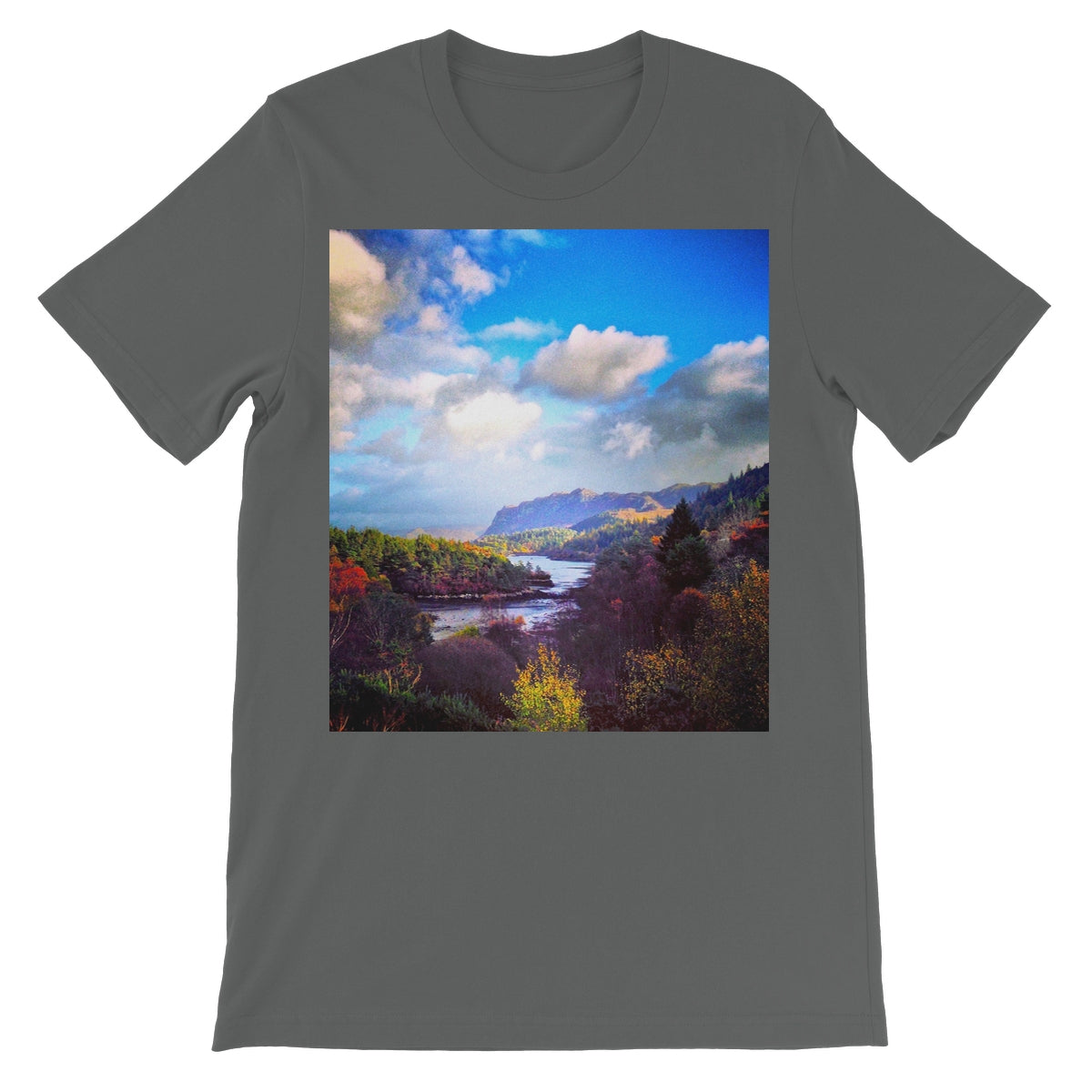 image49,50,51,52,53,54