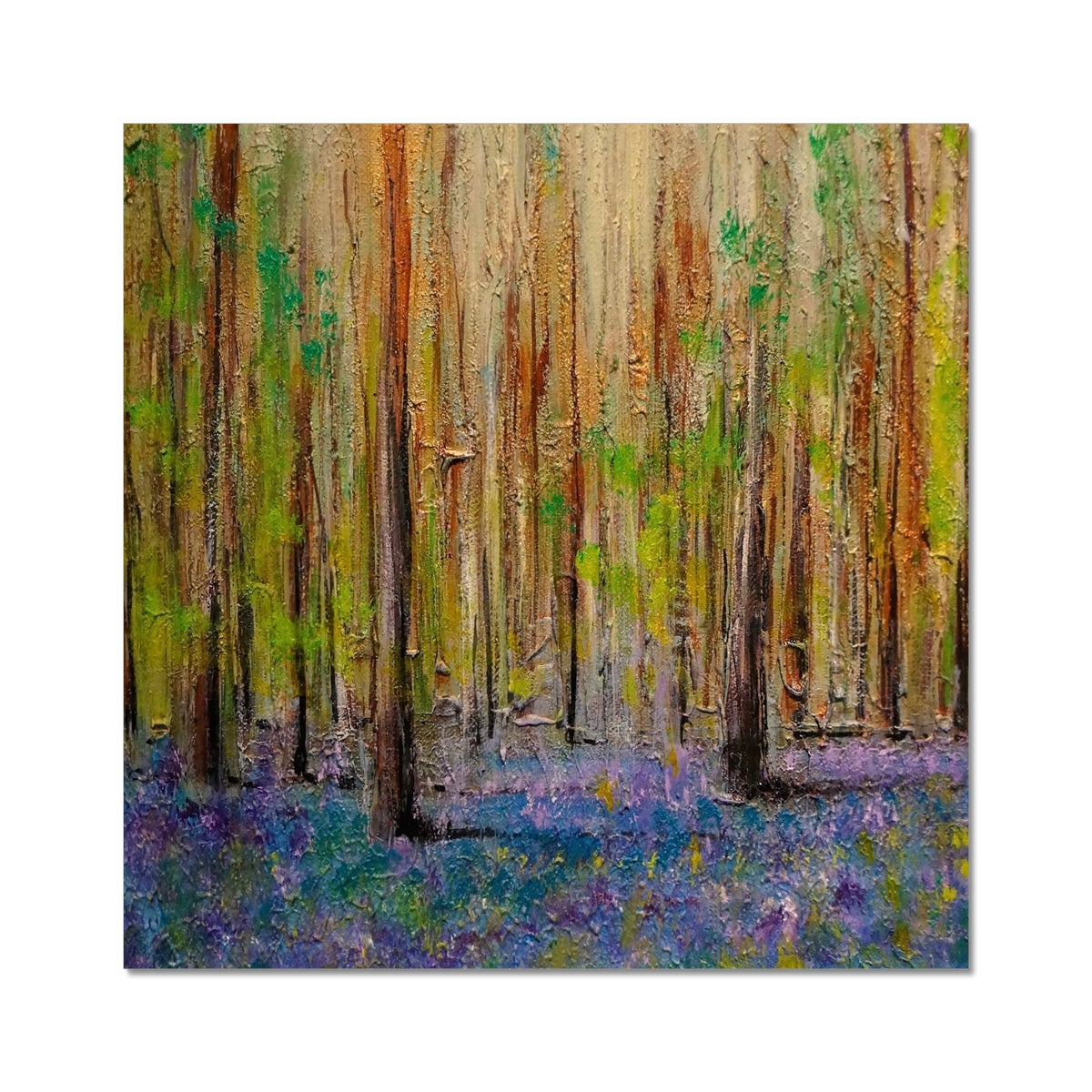 Highland Bluebells C-Type Print | Scottish Art Gifts