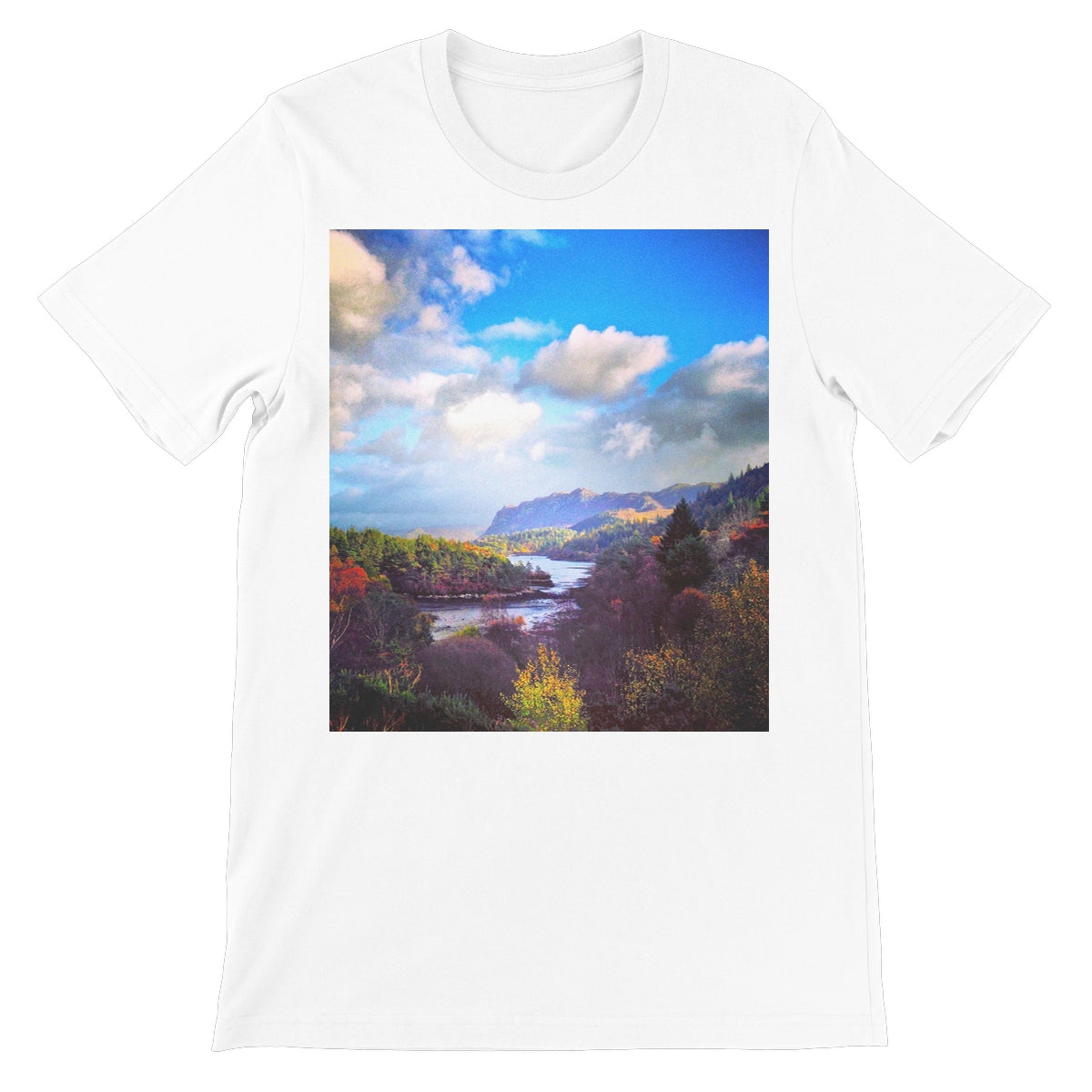 image43,44,45,46,47,48