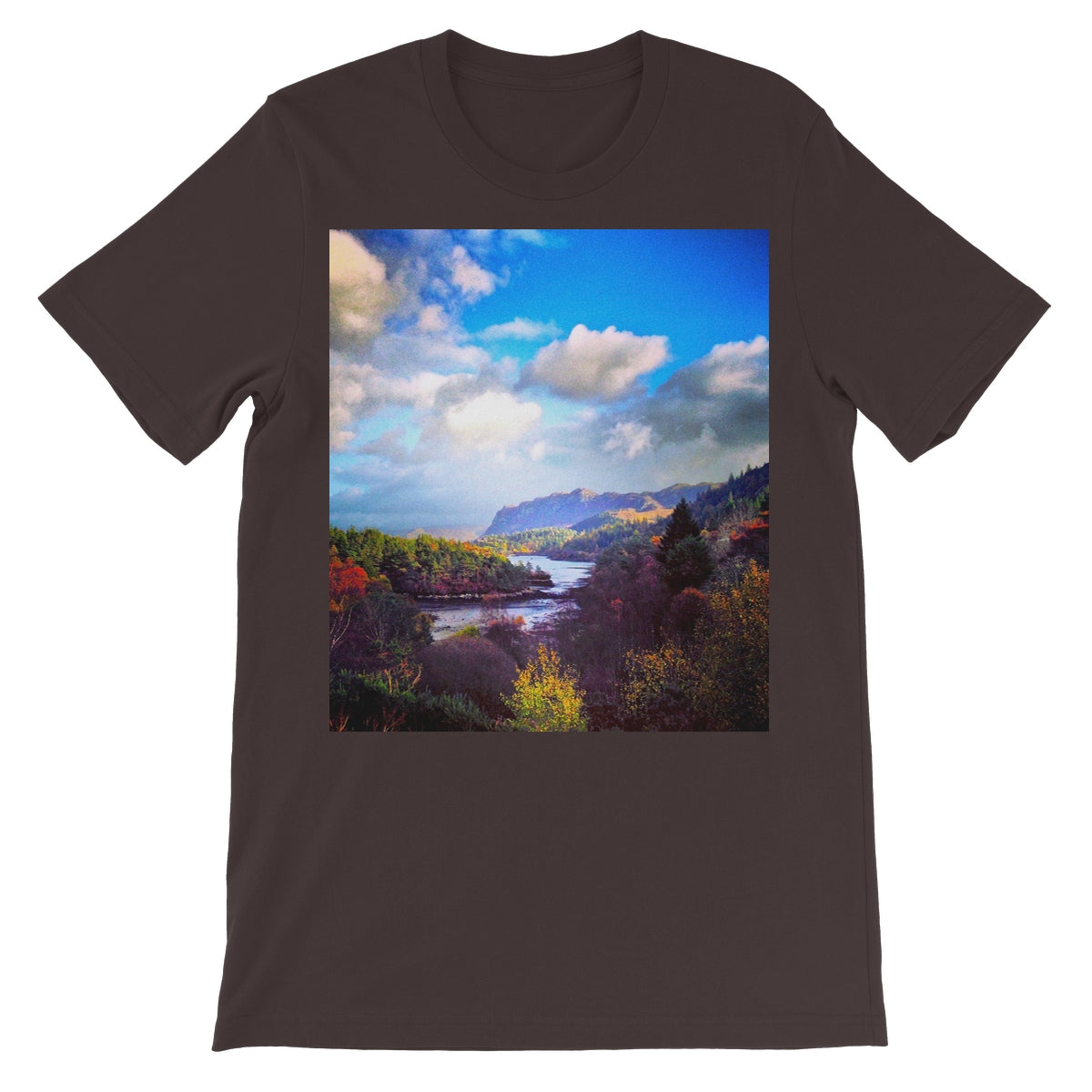 image74,75,76,77,78