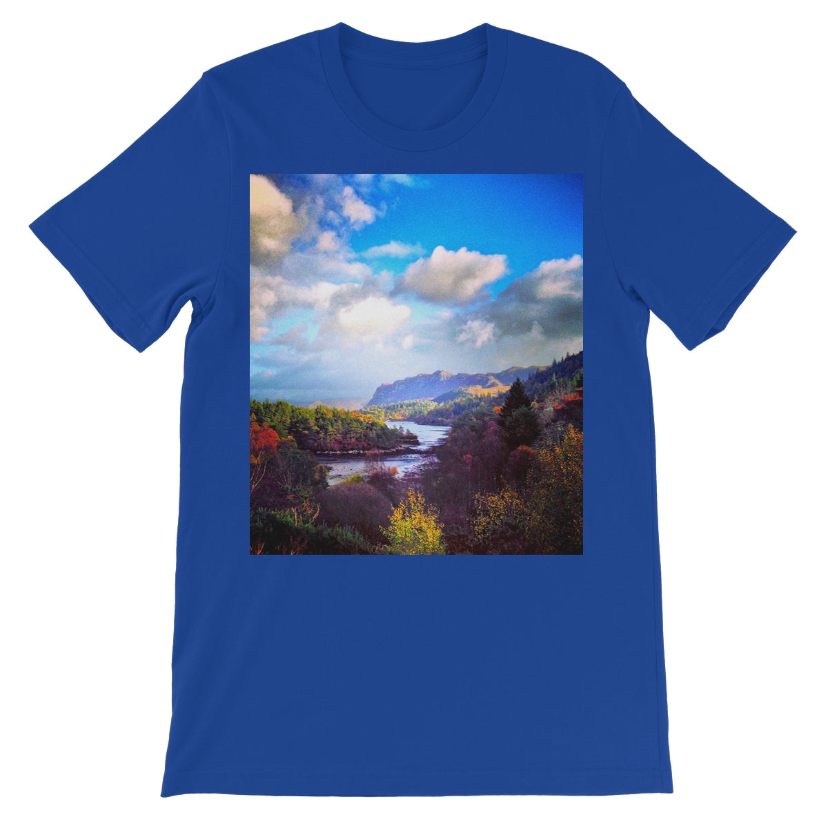 image38,39,40,41,42