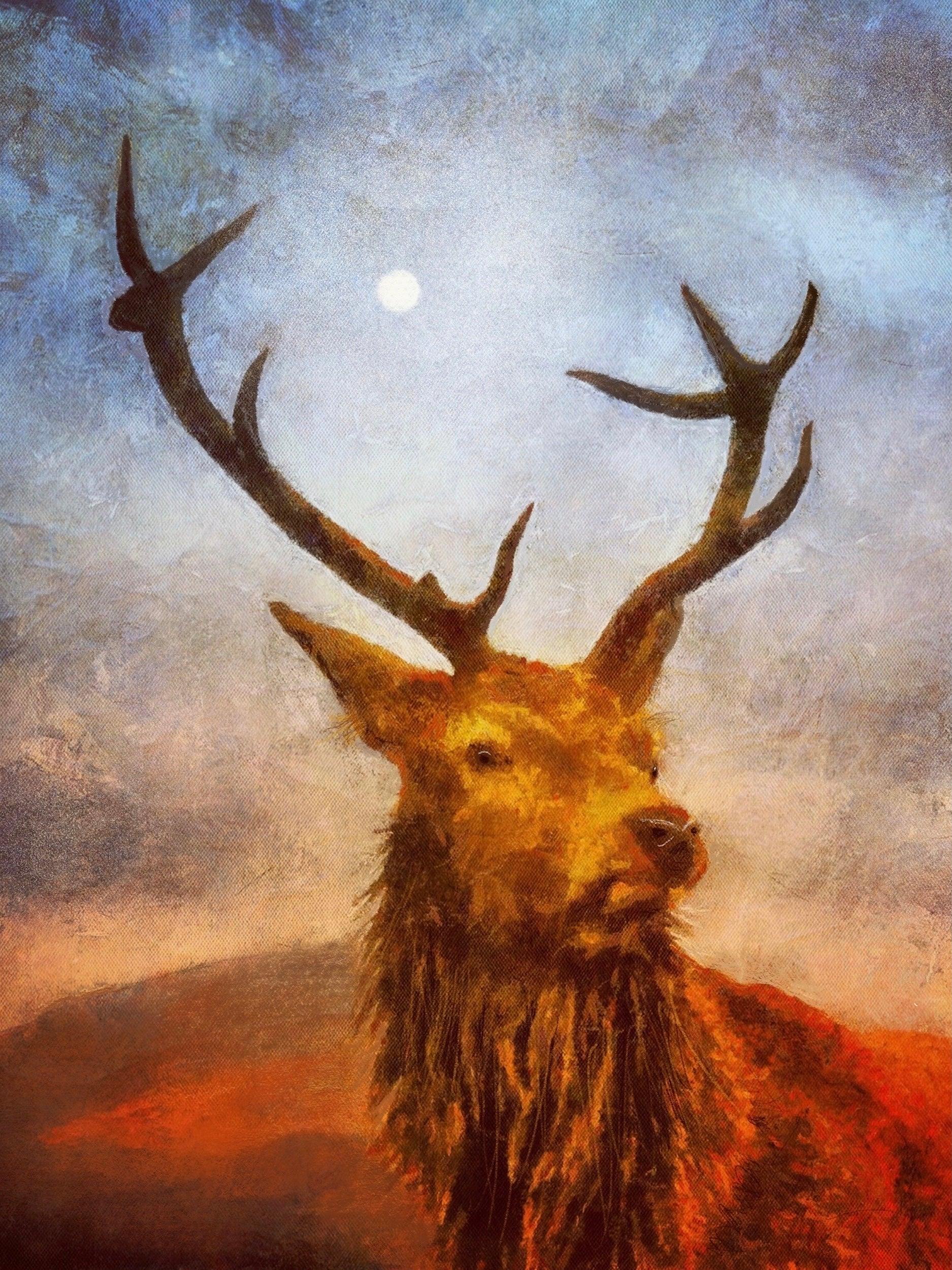 Scottish Paintings - ' The Moonlit Stag '