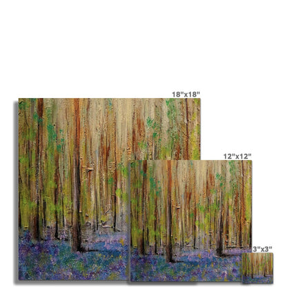 Highland Bluebells C-Type Print | Scottish Art Gifts