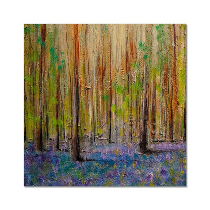 Highland Bluebells C-Type Print | Scottish Art Gifts