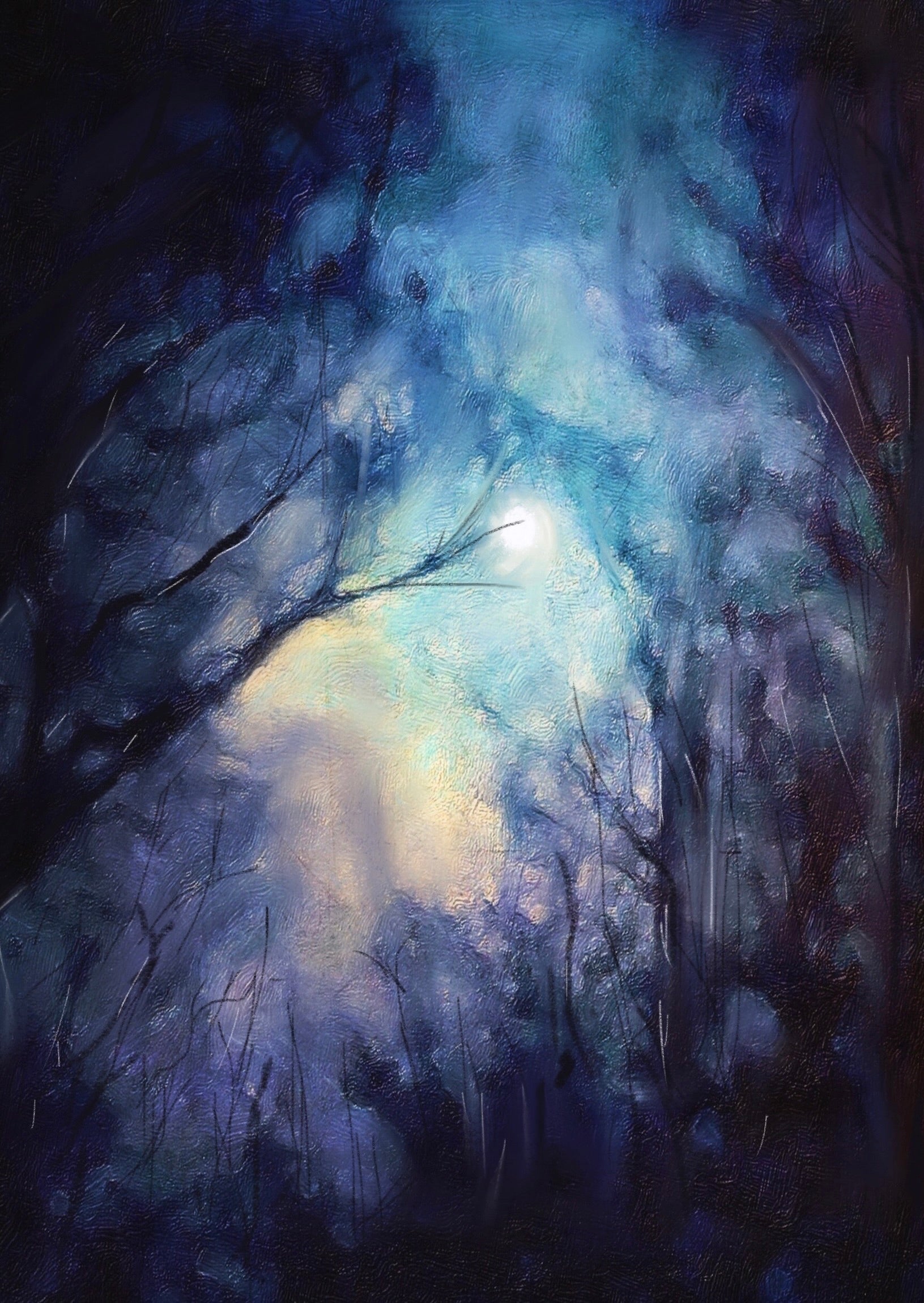 A Moonlit Highland Wood Collector & Open-Edition Prints Scotland