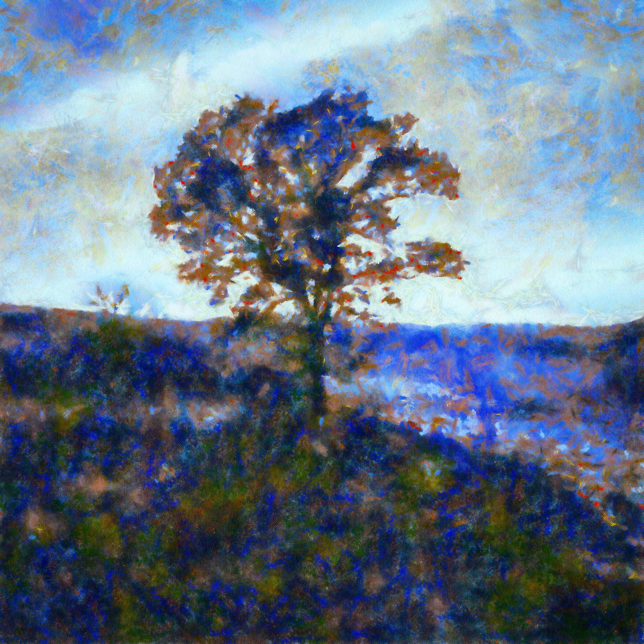 A Winter Highland Tree Art Prints