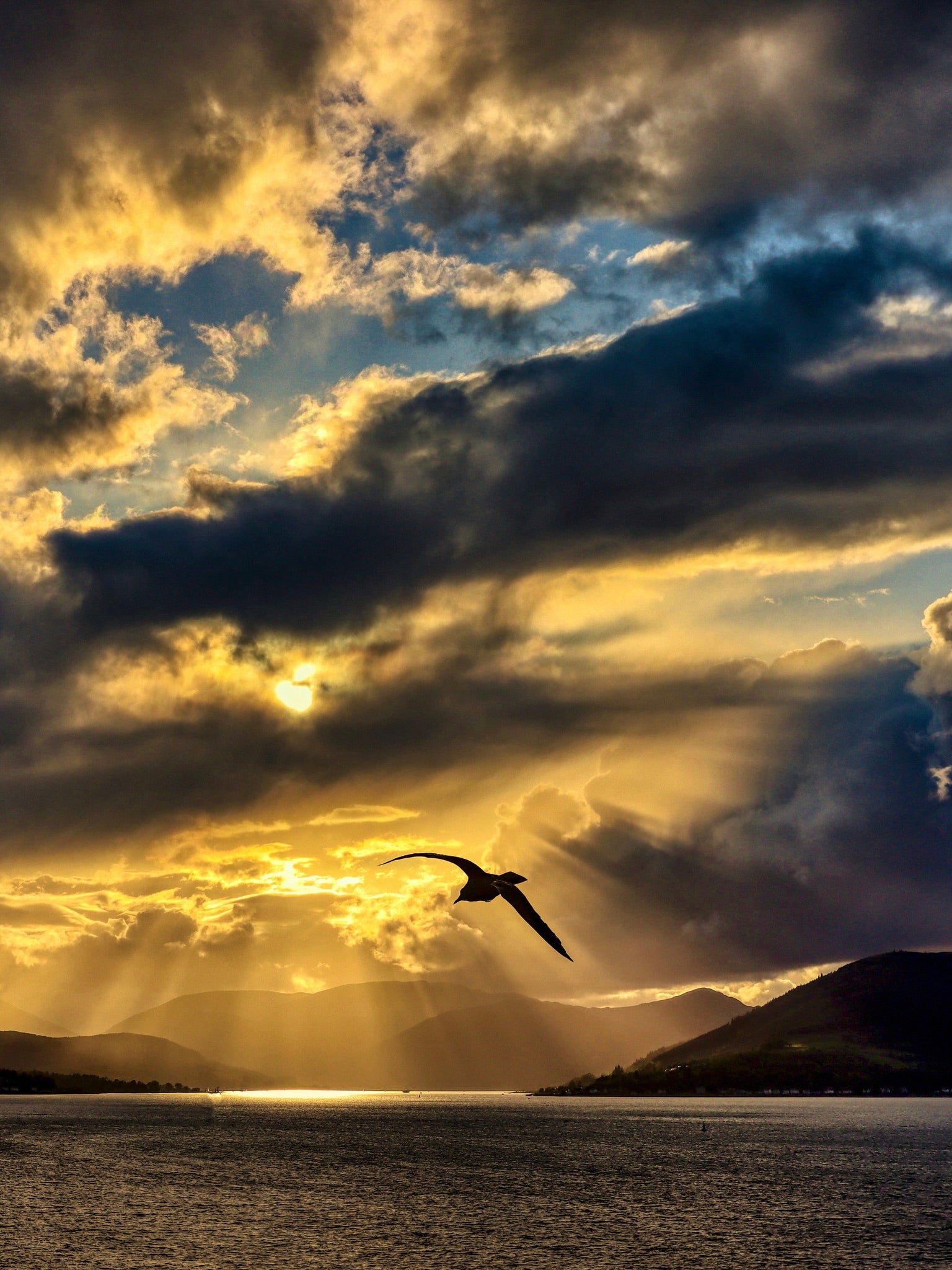 River Clyde Seagull Sunset Photography Prints.
