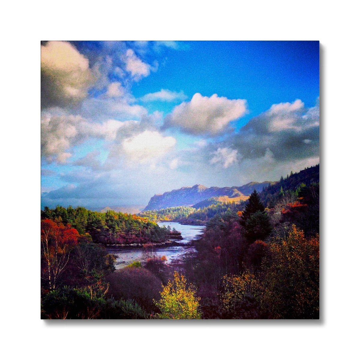 Scottish Paintings - ' Plockton ' Canvas