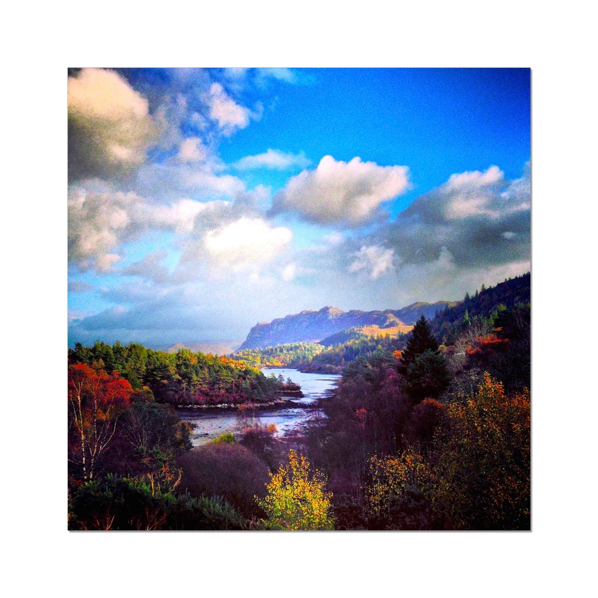 Scottish Paintings - ' Plockton ' Fine Art Print