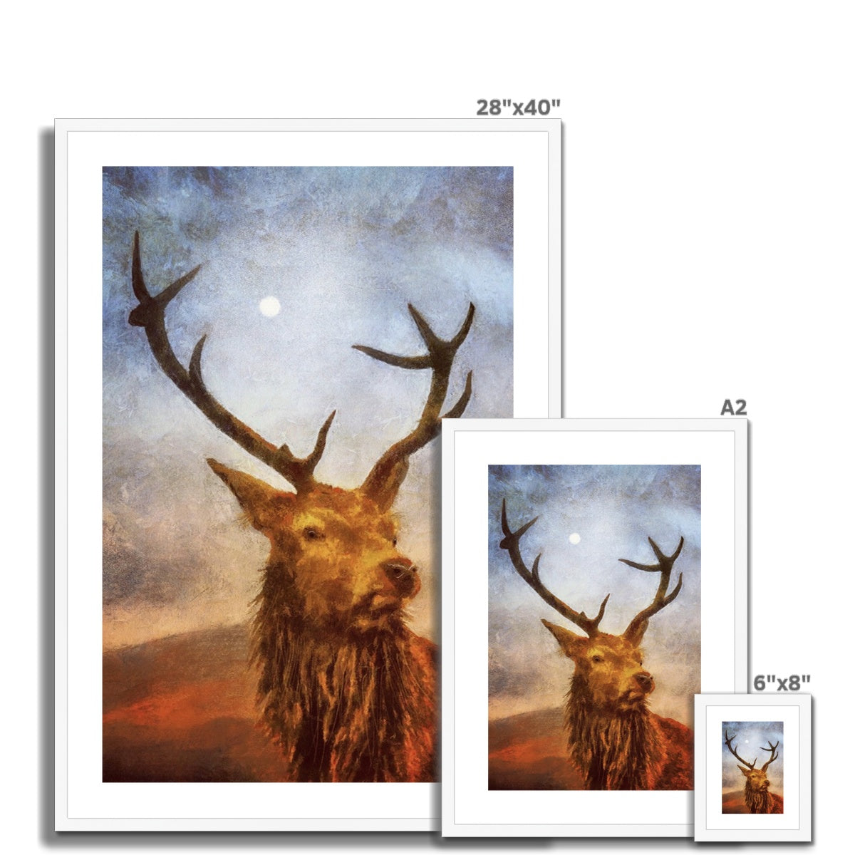 Scottish Paintings - ' The Moonlit Stag ' Framed & Mounted Print.
