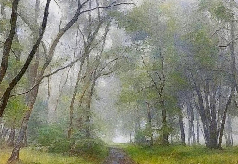 The Path To The Highland Mist Art Prints