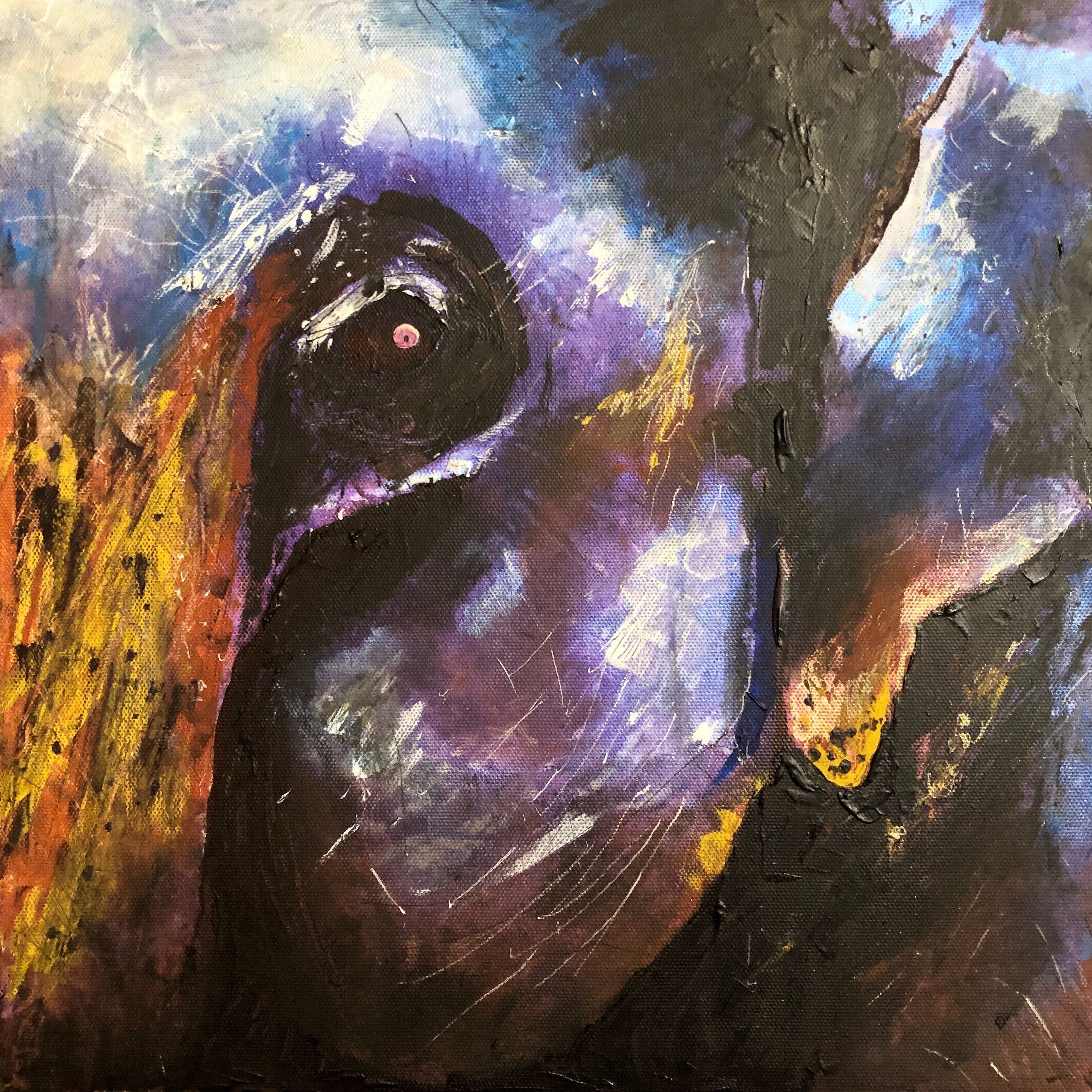 The Watchful Elephant Art Prints